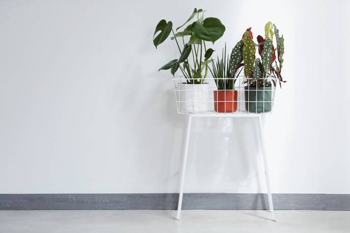 b.for soft rund 14cm weiss